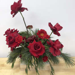 Red roses and mixed red flowers in a low arrangement with pine greenery