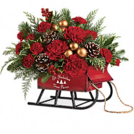 Red carnations and pinecones arranged in a sleigh-shaped planter