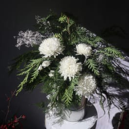 White chrysanthemum arrangement in a silver vase with evergreen foliage