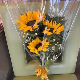 Bouquet of sunflowers wrapped in clear plastic with a gold ribbon