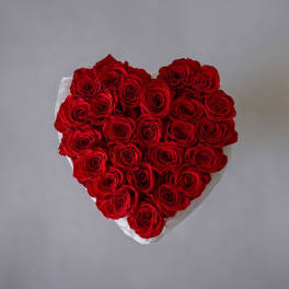 Heart-shaped bouquet of red roses wrapped in white paper