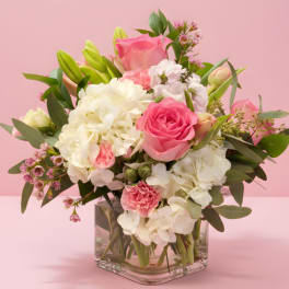 Sweet Blush Cube