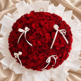 Large round bouquet of red roses with white ribbon bows and wrapping