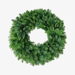 Green wreath made of dense evergreen foliage on a white background