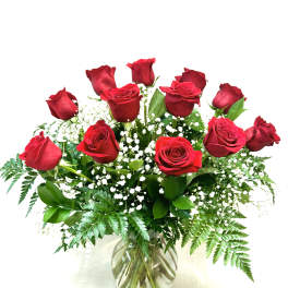 One Dozen Long Stemmed Red Roses