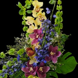 Vibrant Joy