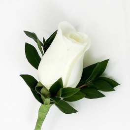 Boutonniere - White Rose
