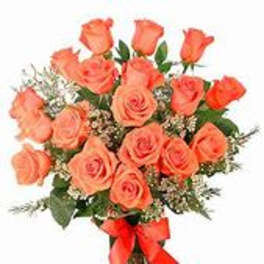 Orange Roses
