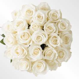 White Roses Hand-tie Bouquet