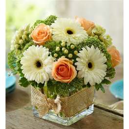 Peach roses and white gerbera daisies in a square glass vase with burlap ribbon
