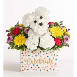 White teddy bear made of flowers in a polka-dot gift box with colorful blooms