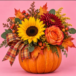 Fall floral arrangement in a pumpkin with sunflower, rose, and ribbon