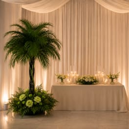 Palm Elegance Collection
