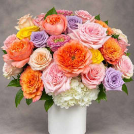 Mixed roses and hydrangea in a white vase