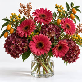 Pink gerbera daisies and burgundy hydrangeas in a clear glass vase