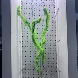 Bright green feather boa draped on a pegboard display