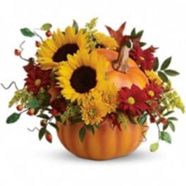 Pumpkin-shaped arrangement with sunflowers and red daisies