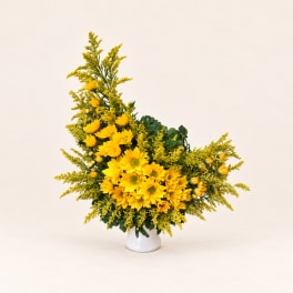 Yellow daisy bouquet in a white vase