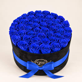 Round box of vivid blue roses with a blue ribbon bow