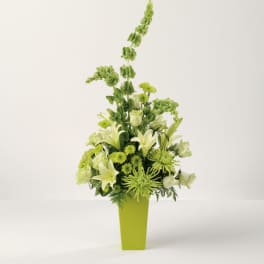 Green and white floral arrangement in a tall lime vase