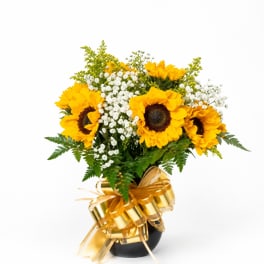 Sunflower bouquet in a black vase with white filler flowers and a gold ribbon bow