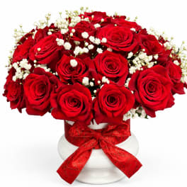 Red roses and white baby's breath in a white vase with a red ribbon