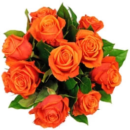 Bouquet of orange roses with green leaves on a white background