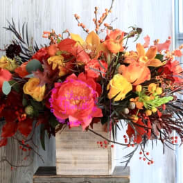 Autumn Grace