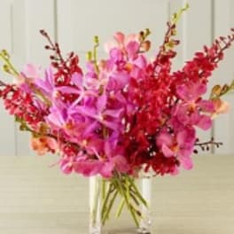 Pink and red orchid arrangement in a clear glass vase