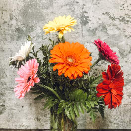 Colorful gerbera daisies arranged in a glass vase