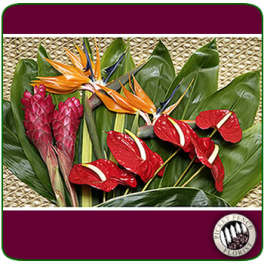 Tropical flowers with red anthuriums and orange bird-of-paradise blooms