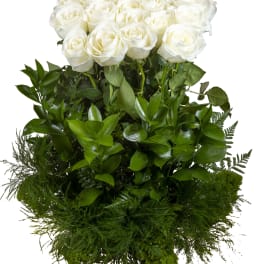 White rose bouquet with dense green foliage