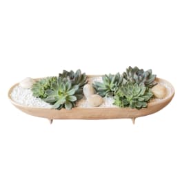 Succulent arrangement in a shallow oval planter with white stones