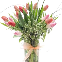 Pink tulips arranged in a tall glass vase with a ribbon