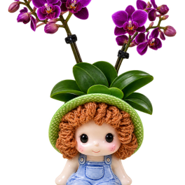 Purple orchid blooms above a small doll planter with a green hat.