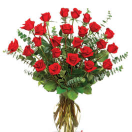Two Dozen Red Roses