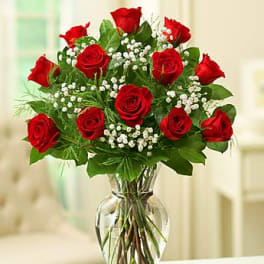 Rose Elegance Premium Long Stem Red Roses
