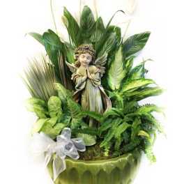 Green potted plant arrangement with an angel figurine and white ribbon