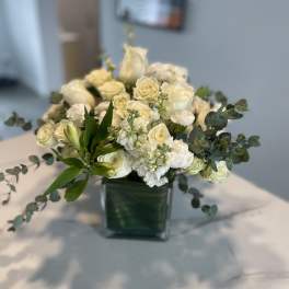 White Dream