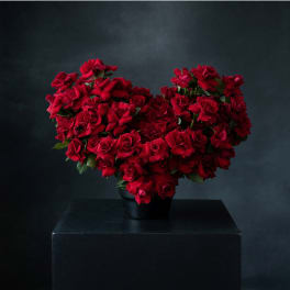 Heart-shaped arrangement of red roses in a black container