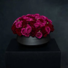 Magenta roses arranged in a low black vase on a dark background