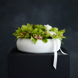 Green orchids arranged in a white bowl with a ribbon