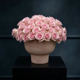 Pink roses arranged in a rounded beige vase