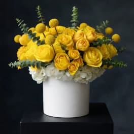 Yellow roses and white hydrangeas in a white vase