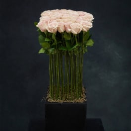Tall arrangement of pale pink roses in a black square container
