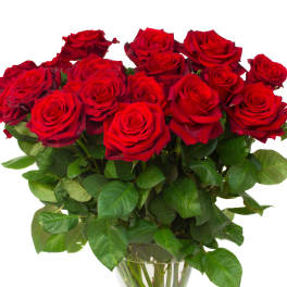 Bouquet of red roses in a clear glass vase