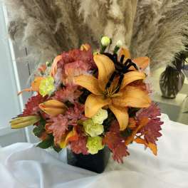 Spooky Harvest Bloom