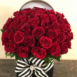 Red rose arrangement in a black box with a striped ribbon