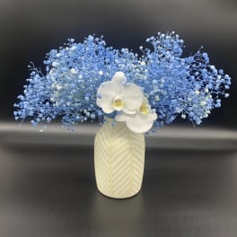 Blue baby's breath arrangement with white orchids in a patterned vase