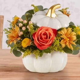 Autumn White Pumpkin